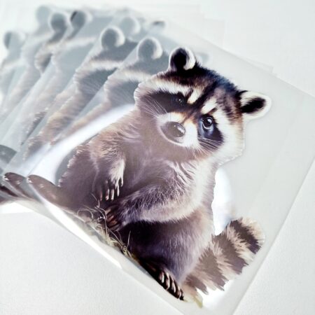 Triigitav kleebis "Pesukaru"