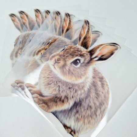 Triigitav kleebis "Metsjänes"