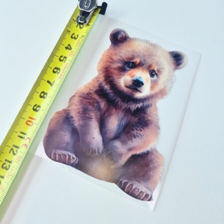 Triigitav kleebis "Karumõmm"